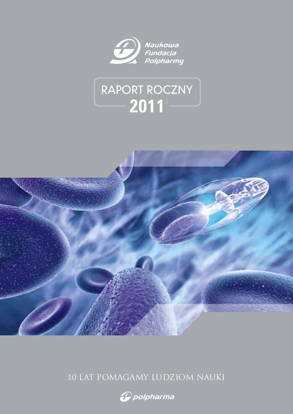 Raport roczny 2011 okładka