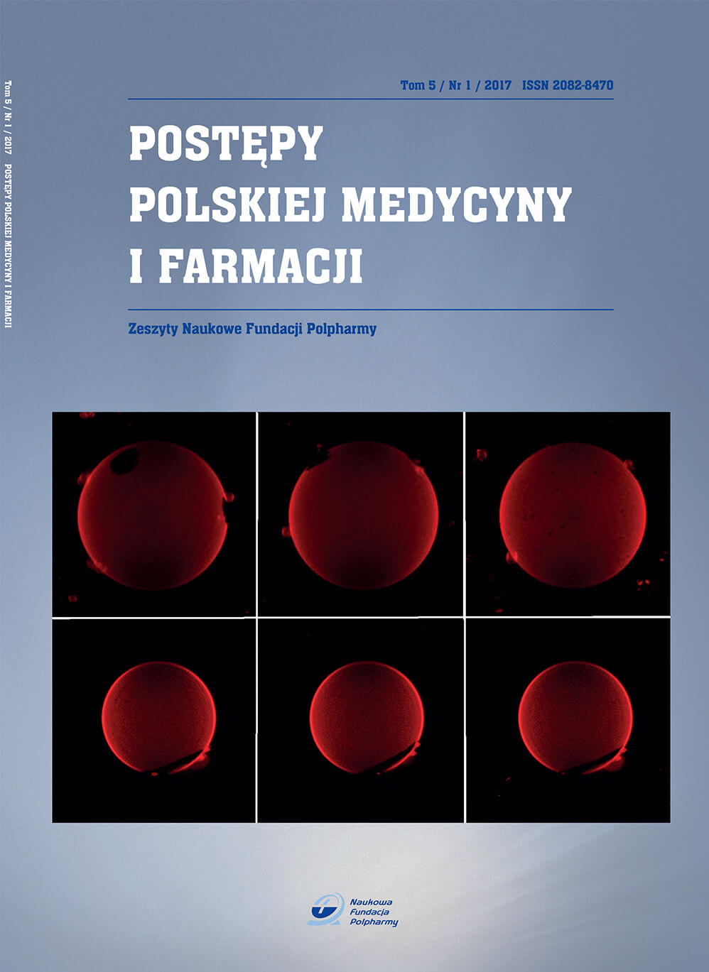 okladka Tom 5/Nr 1/2017 ISSN 2082-8470