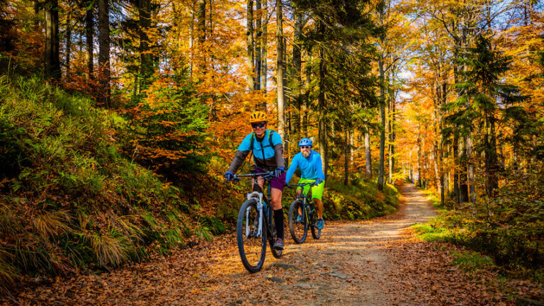 Two people riding bikes in the woods