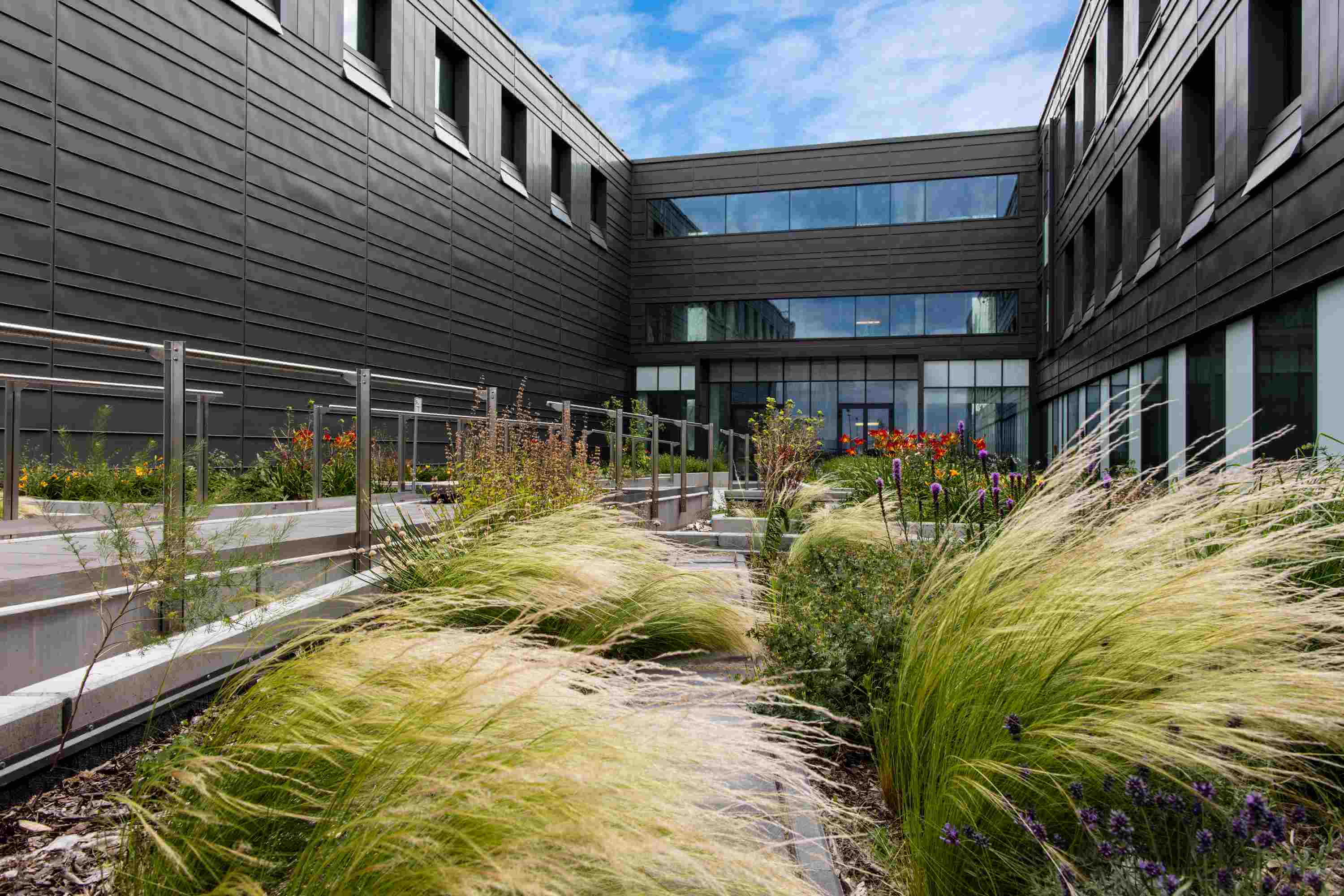 Factory building in Duchnice