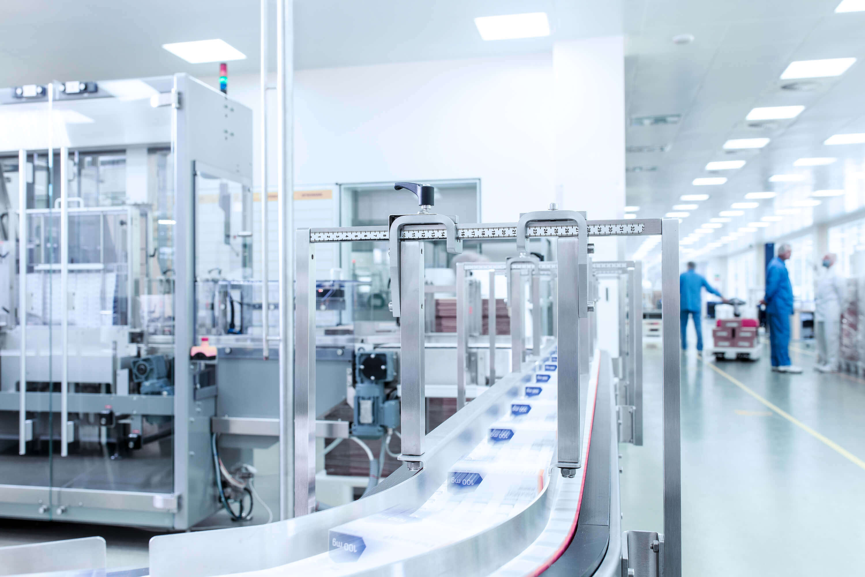 The interior of the plant