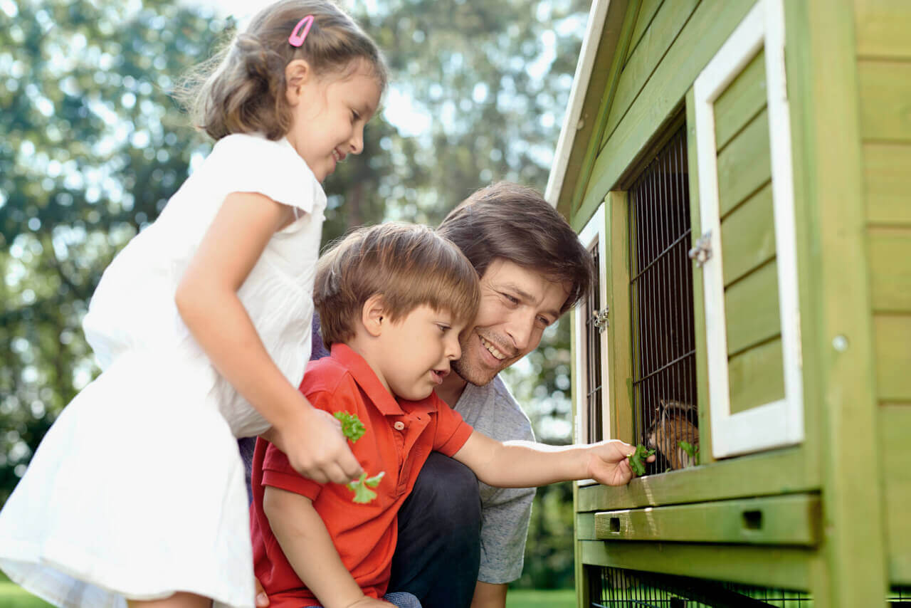 Family feeding the animal