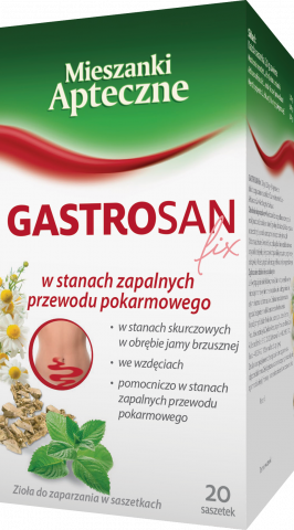 Gastrosan fix 2 g x 20 sasz.